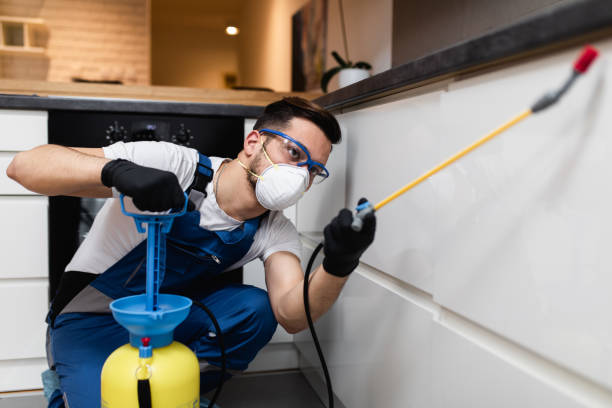 Best Wasp Removal Services  in Pce, LA