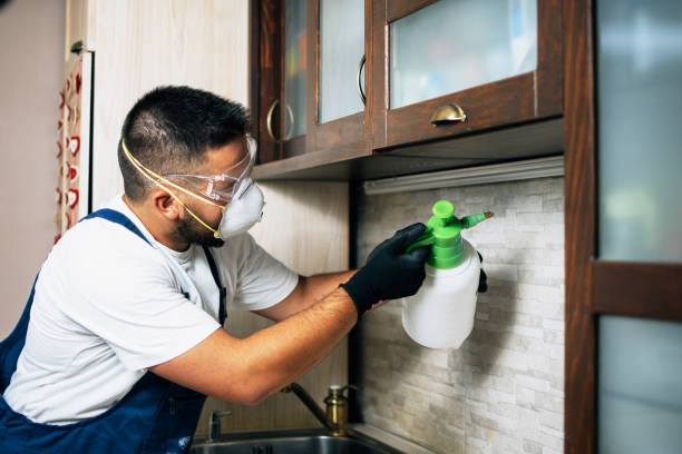 Best Insect Control  in Pce, LA