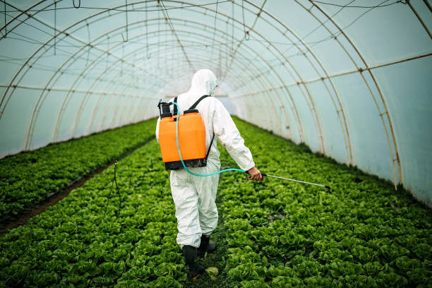 Best Residential Pest Control  in Pce, LA