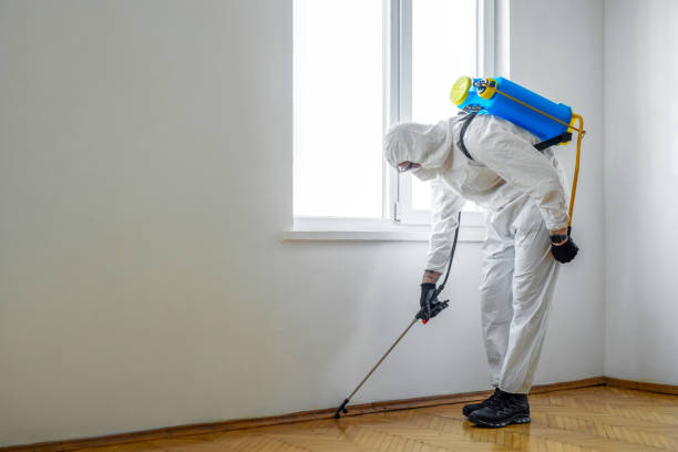 Pest Prevention Services in Laplace, LA