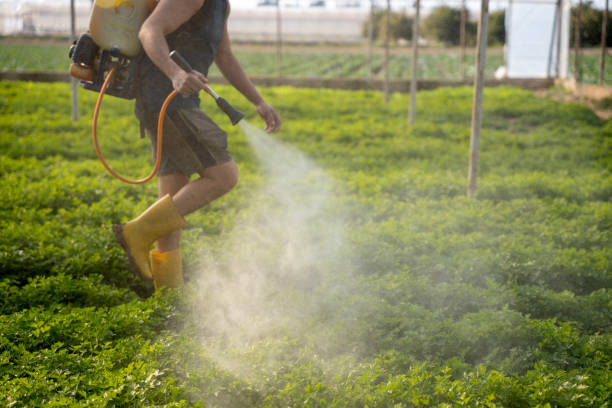 Best Pest Inspection Near Me  in Pce, LA