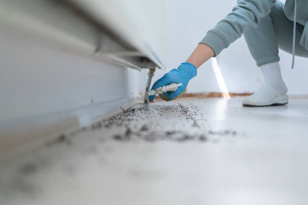 Best Termite Control Services  in Pce, LA